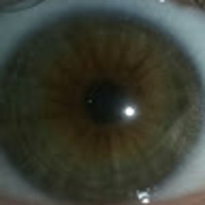 Meet your Posher, Cameron